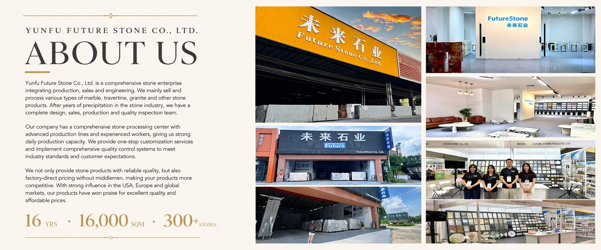 FutureStone factory and project capability
