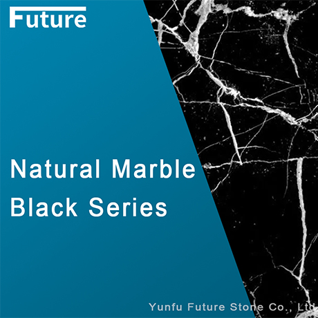Slab Catalog_Black Series_Futurestone