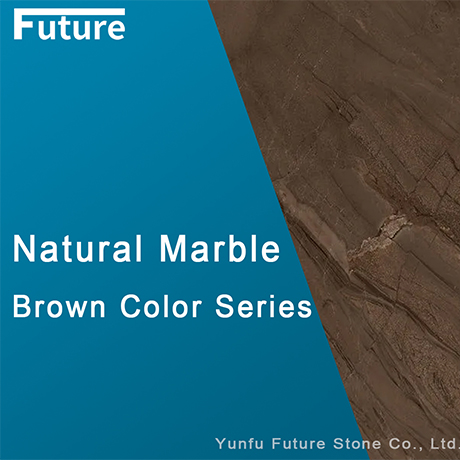 Slab Catalog_Brown Series_Futurestone
