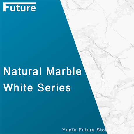 Futurestone White Marble Slab Series
